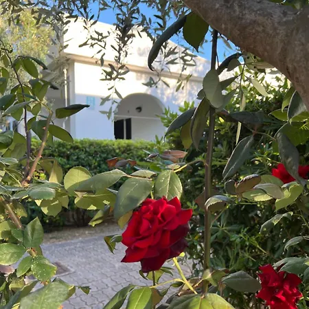 Villaggio Almar-3